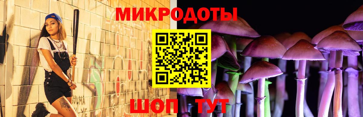 Псилоцибиновые грибы Psilocybe  Галлюциногенные грибы Psilocybe  как найти закладки  Тихвин  Вход с VPN 